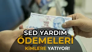 SED Yardımı 2026: 9888 TL Ödeme Kimlere Yatıyor, Başvuru Nasıl Yapılır?