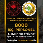 Tarım Bakanlığı OGM 2026 Yılı 8000 İşçi Personel Alımı Bekleniyor! İşte Şartlar…