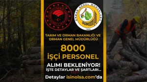 Tarım Bakanlığı OGM 2026 Yılı 8000 İşçi Personel Alımı Bekleniyor! İşte Şartlar…