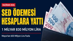 Haziran SED Ödemesi 1 Milyar 830 Milyon Lira: Mayıs’tan 603 Milyon Lira Fazla