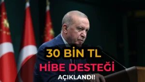 Koye Donene Arsa Hibe ve 30 Milyon TLye Kadar Destek 2026 Yili Kirsal Kalkinma Tesvikleri Aciklandi