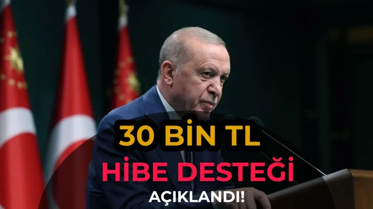 Köye Dönene Arsa, Hibe ve 30 Milyon TL’ye Kadar Destek: 2026 Yılı Kırsal Kalkınma Teşvikleri Açıklandı