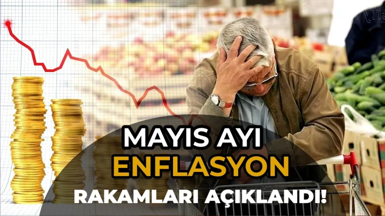 mayis enflasyon