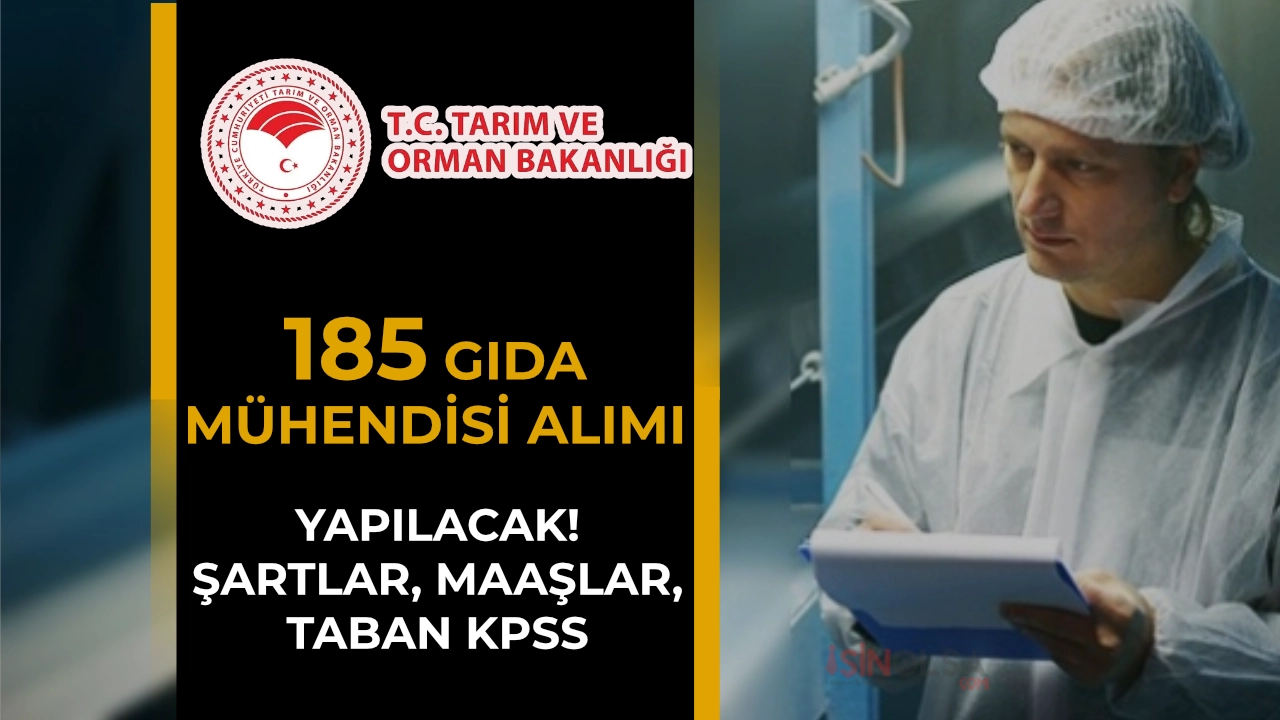 Tarım Bakanlığı 185 Gıda Mühendisi Alımı: Şartlar, Maaş ve Taban Puan