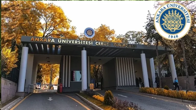 Ankara Üniversitesi 7 Sözleşmeli Bilişim Personeli Alıyor