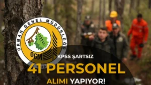 OGM 41 Personel Alımı Yapacak! Ön Lisans ve Lisans Mezunlarına Memur Kadrosu Açıldı
