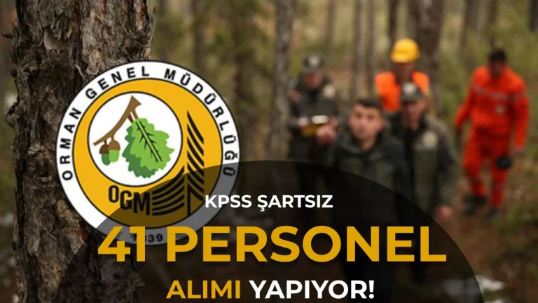 OGM 41 Personel Alımı Yapacak! Ön Lisans ve Lisans Mezunlarına Memur Kadrosu Açıldı