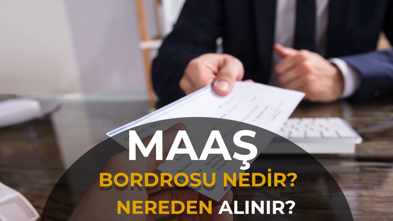 Maaş Bordrosu Nedir? Nereden Alınır, e-Devlet’ten Nasıl Sorgulanır?