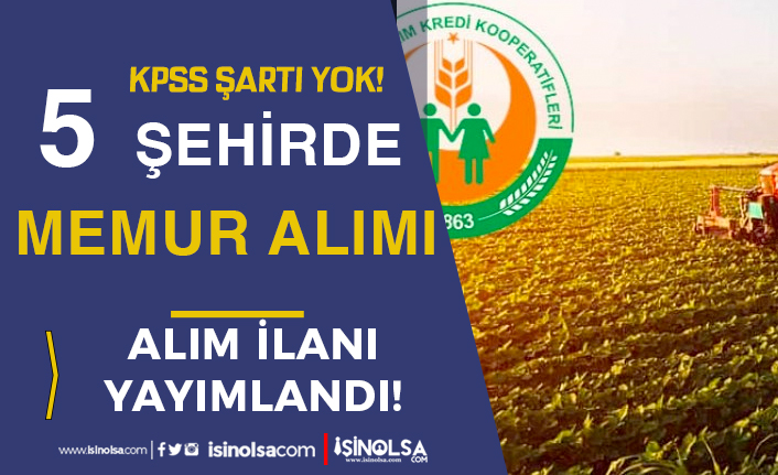 Tarım Kredi KPSS siz 5 Şehirde Veri Giriş Memuru Alımı İlanı Yayımladı! 24 tarim kredi kpss siz 5 sehirde veri giris memuru alimi ilani yayimladi h42176 f8ed0
