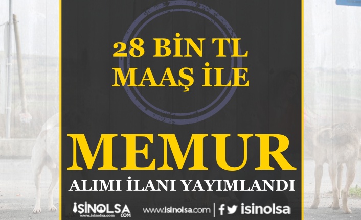 Kütahya İli Sahipsiz Hayvanları Koruma Birliği 28 Bin TL Maaş İle Memur Alımı 7 kutahya ili sahipsiz hayvanlari koruma birligi 28 bin tl maas ile memur alimi h44957 38acf
